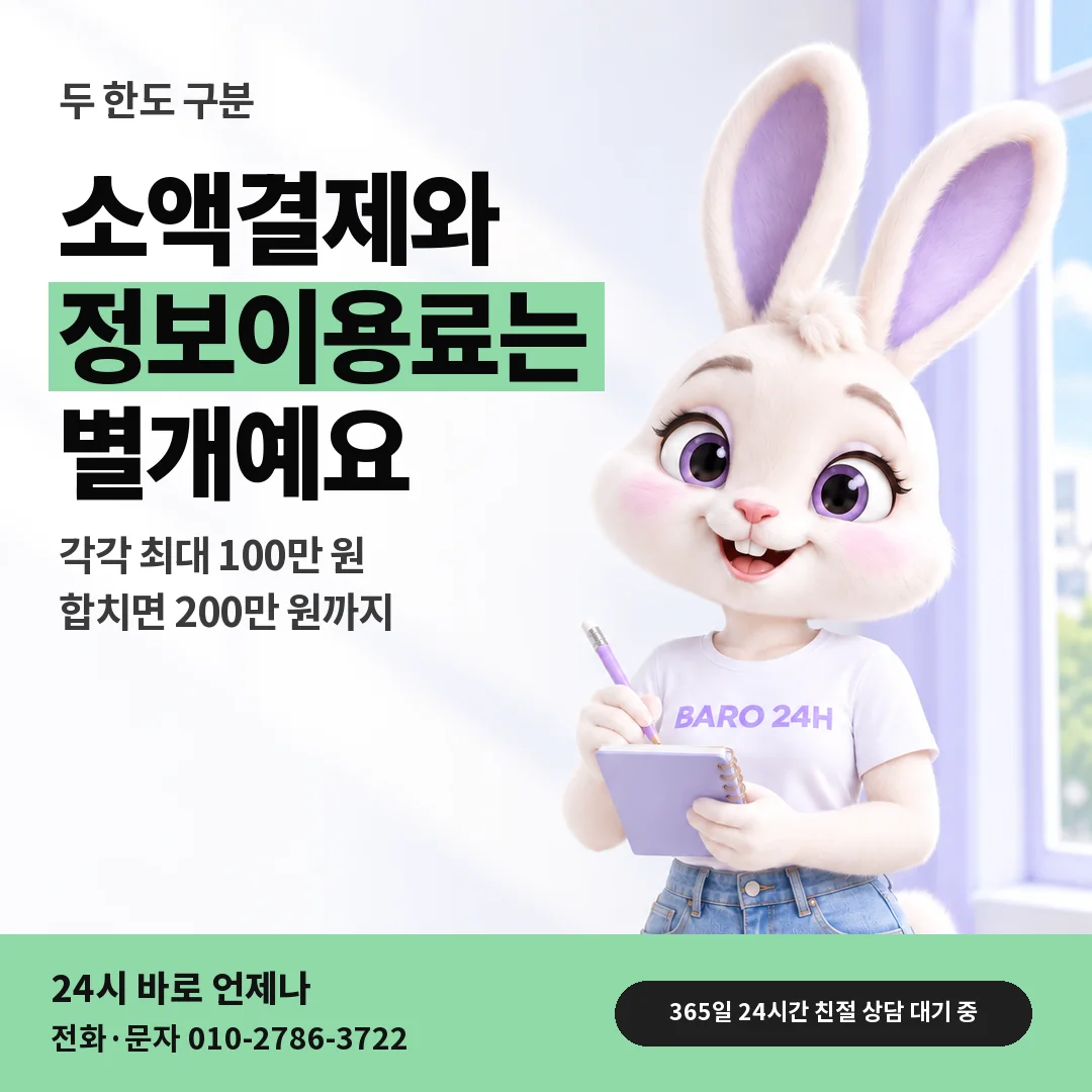 BARO 24H 티셔츠를 입은 3D 토끼 캐릭터 옆에 「아이폰 정보이용료와 소액결제 구분」 제목을 얹은 안내 카드
